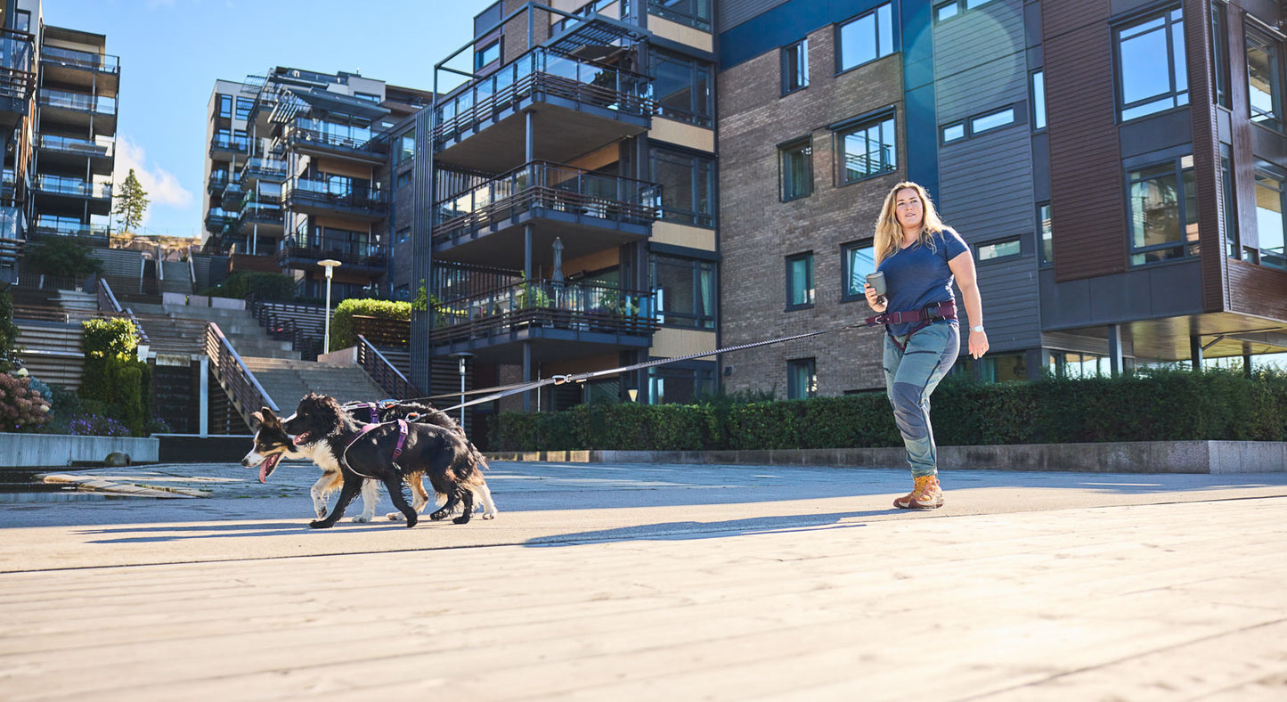 Lifestyle image of the Trekking Belt 2.0, showing two dogs walking ahead of their owner, who wears the belt, in an urban environment.
