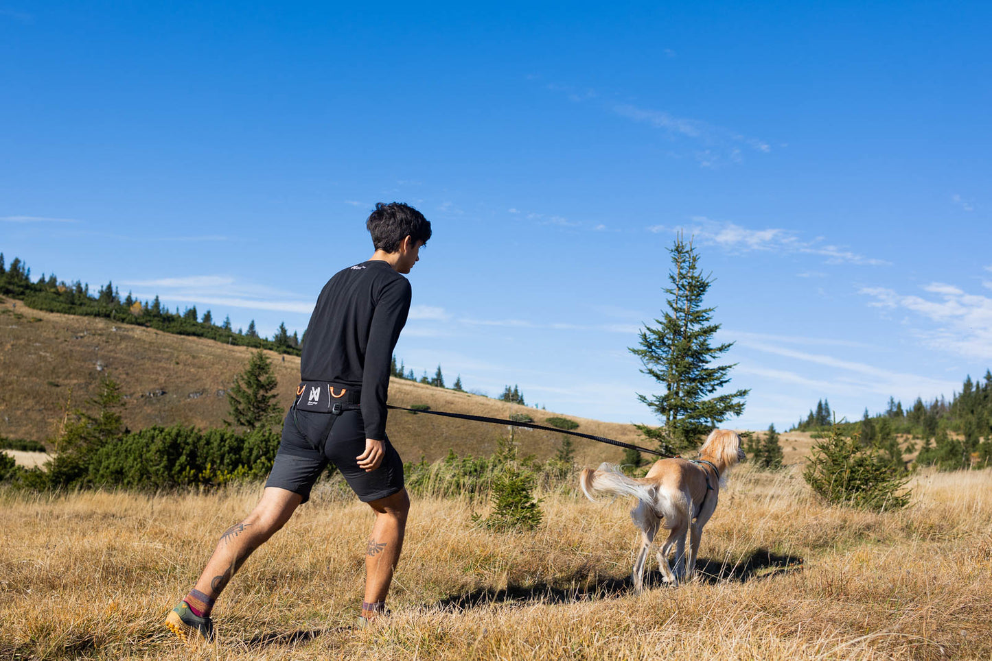 Lifestyle image of the Trekking Belt 2.0, showing a dog running ahead of their owner, while their owner wears the belt.