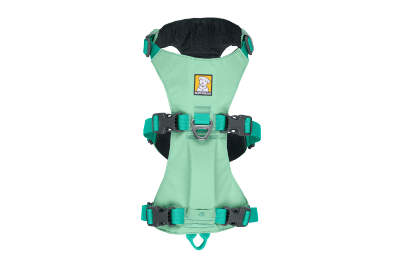 Stock image of the Flagline Harness, showing the top of the Flagline, against a white background.