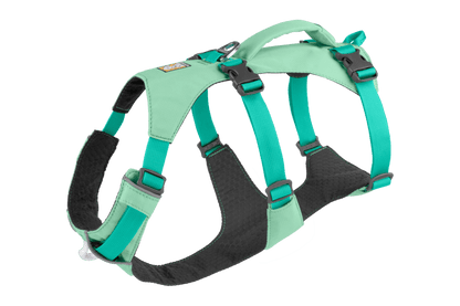 Stock image of the Flagline Harness in Sage Green, a double-belly strap harness on a white background with a handle.