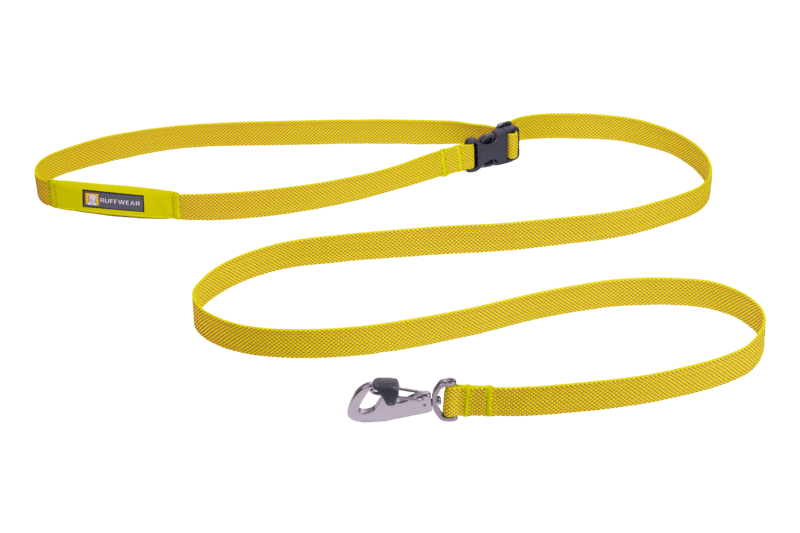 Stock image of the Flagline Leash in Lichen Green, on a transparent background.