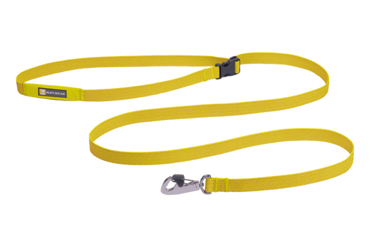 Stock image of the Flagline Leash in Lichen Green, on a transparent background.