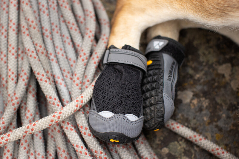 Lifestyle image of the Grip Trex Dog Boots, wearing a pair of Grip Trex boots while a dog lays on some rope.
