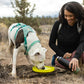 Lifestyle image of the Hi & Light Collar, worn by a white dog drinking out of a flyer disc bowl. Their owner sits beside them holding a water bottle.