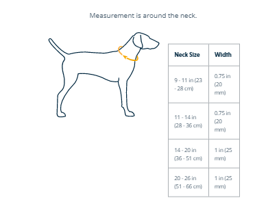 Sizing guidance for the Hi & Light Collar.