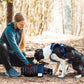 Non-stop Dogwear - Trekking Belt Bag