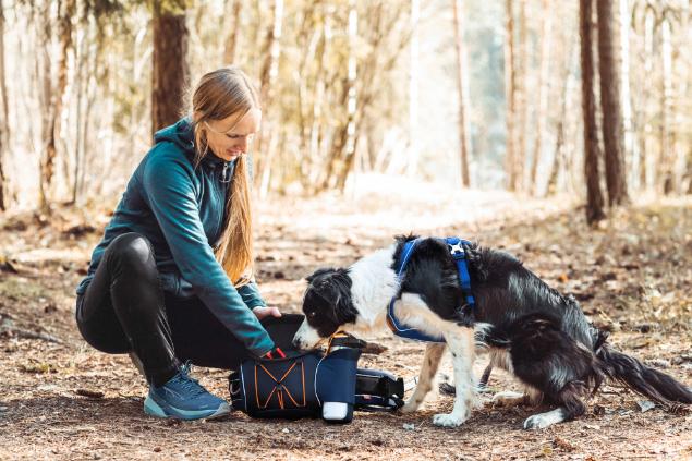 Non-stop Dogwear - Trekking Belt Bag
