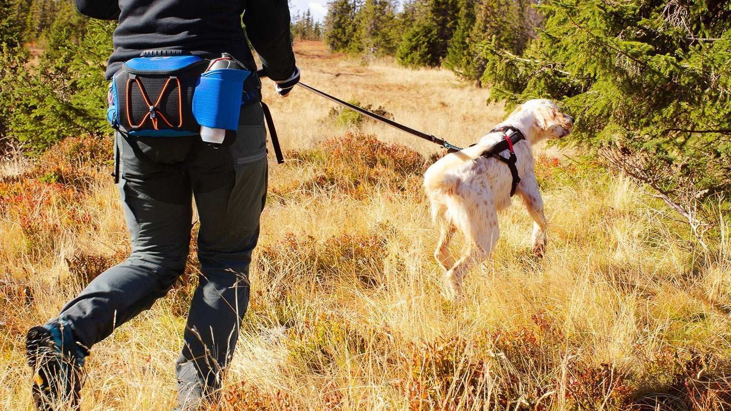 Non-stop Dogwear - Ferd Belt Bag