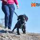 Non-stop Dogwear - Ramble Harness 3 Colour Options