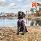 Non-stop Dogwear - Ramble Harness 3 Colour Options