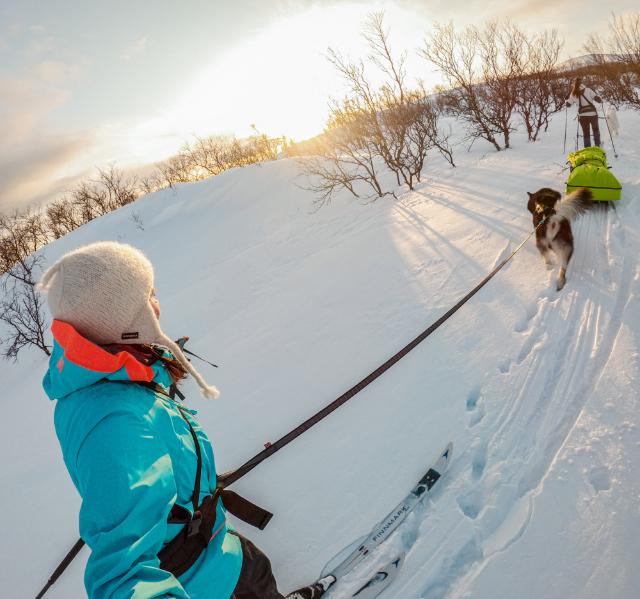 Non-stop Dogwear - Touring Bungee Leash