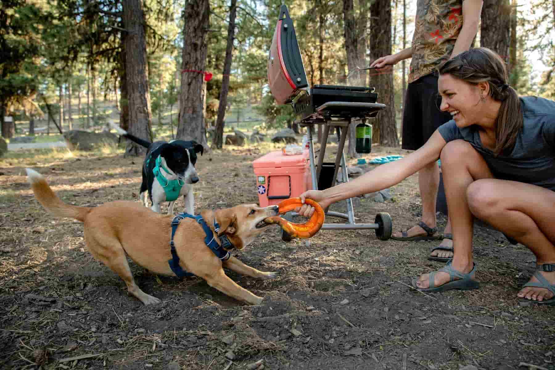 Ruffwear - Hydro Plane