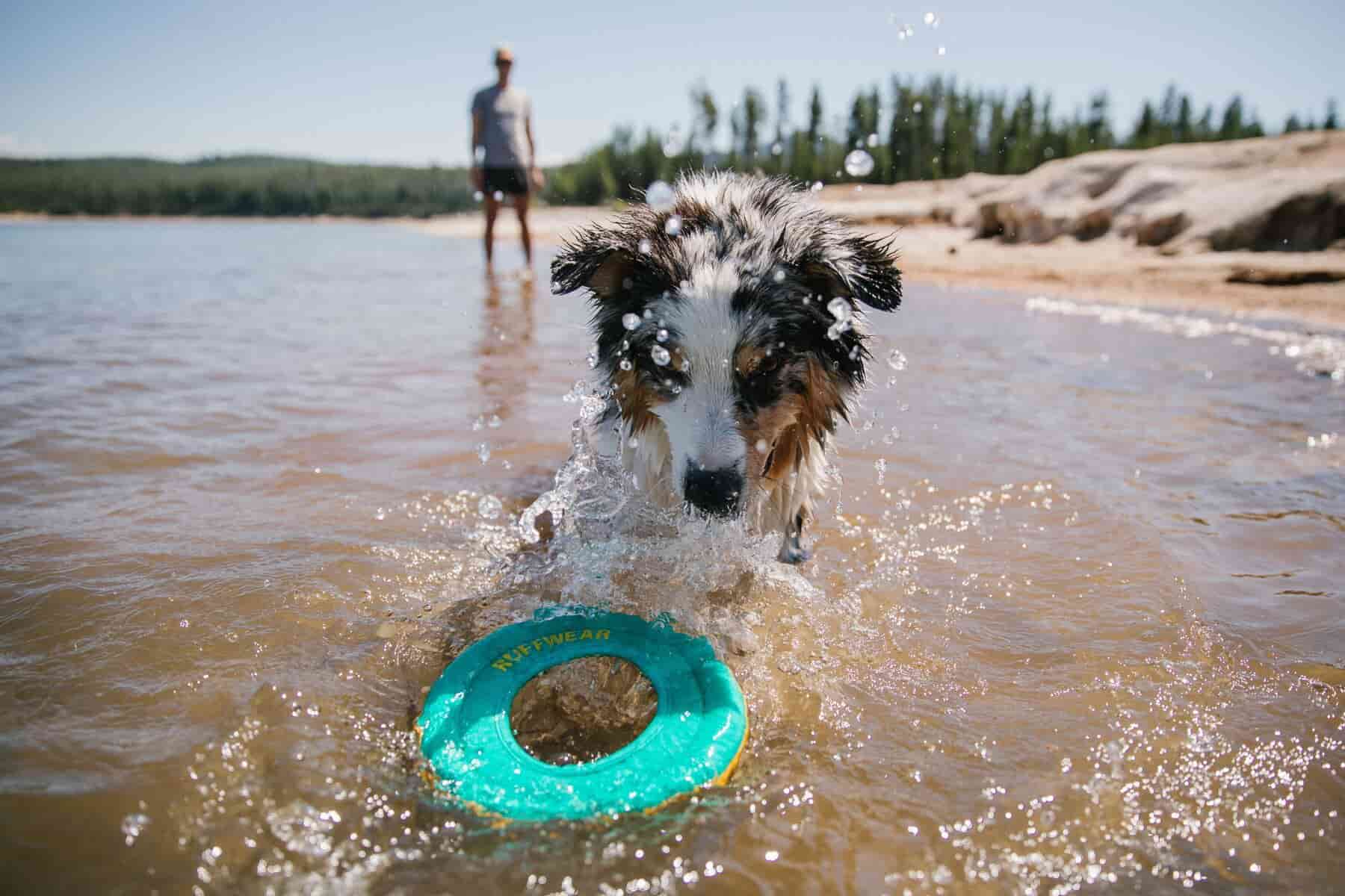 Ruffwear - Hydro Plane