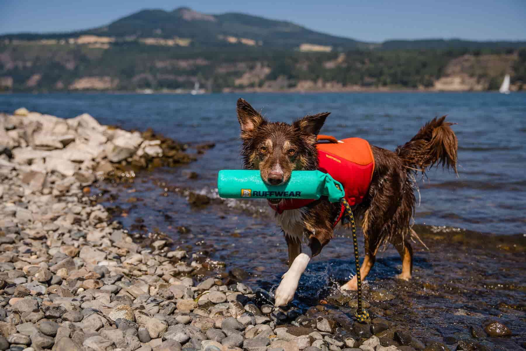 Ruffwear - Lunker