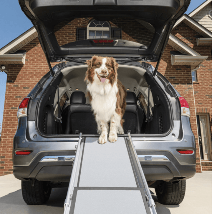Dog Ramps Steps & Car Ramps for Dogs Mountain Dog UK