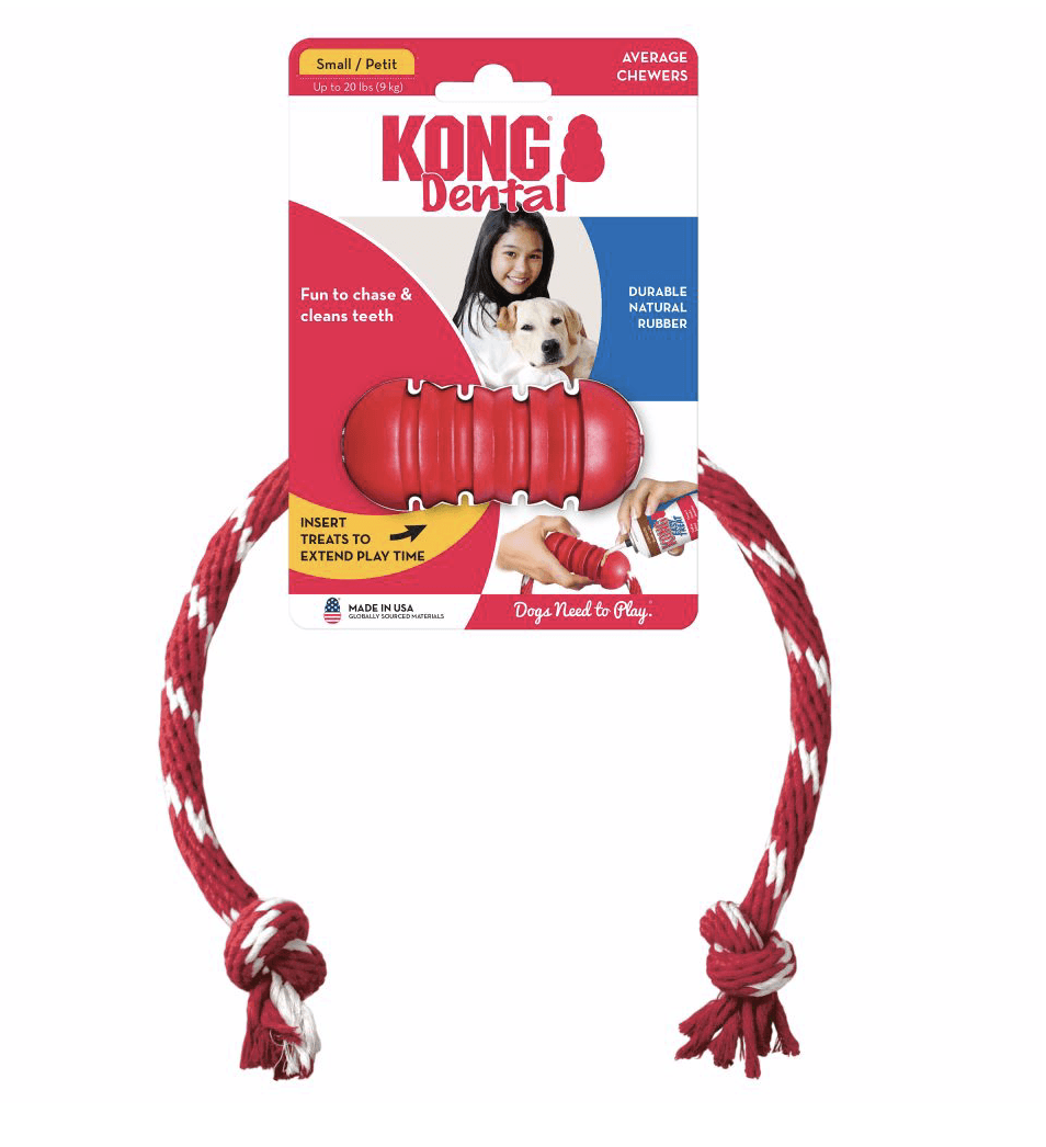KONG - Dental with Rope