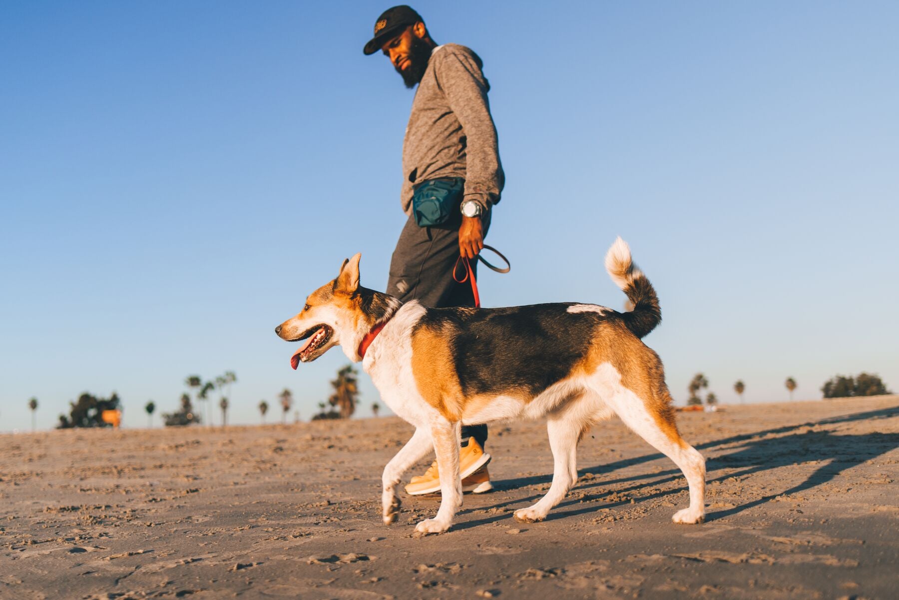 Ruffwear - Pack Out Bag