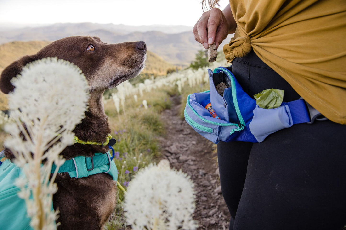 Ruffwear - Home Trail Hip Pack