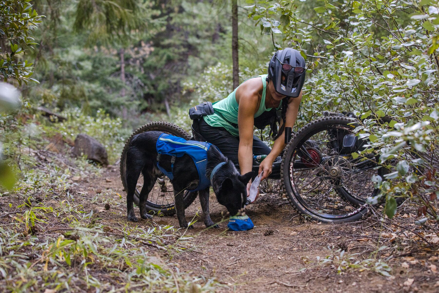 Ruffwear - Trail Runner Bowl