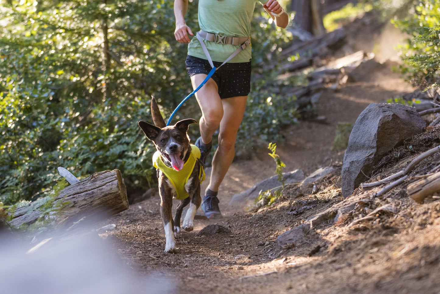 Ruffwear - Trail Runner Leash