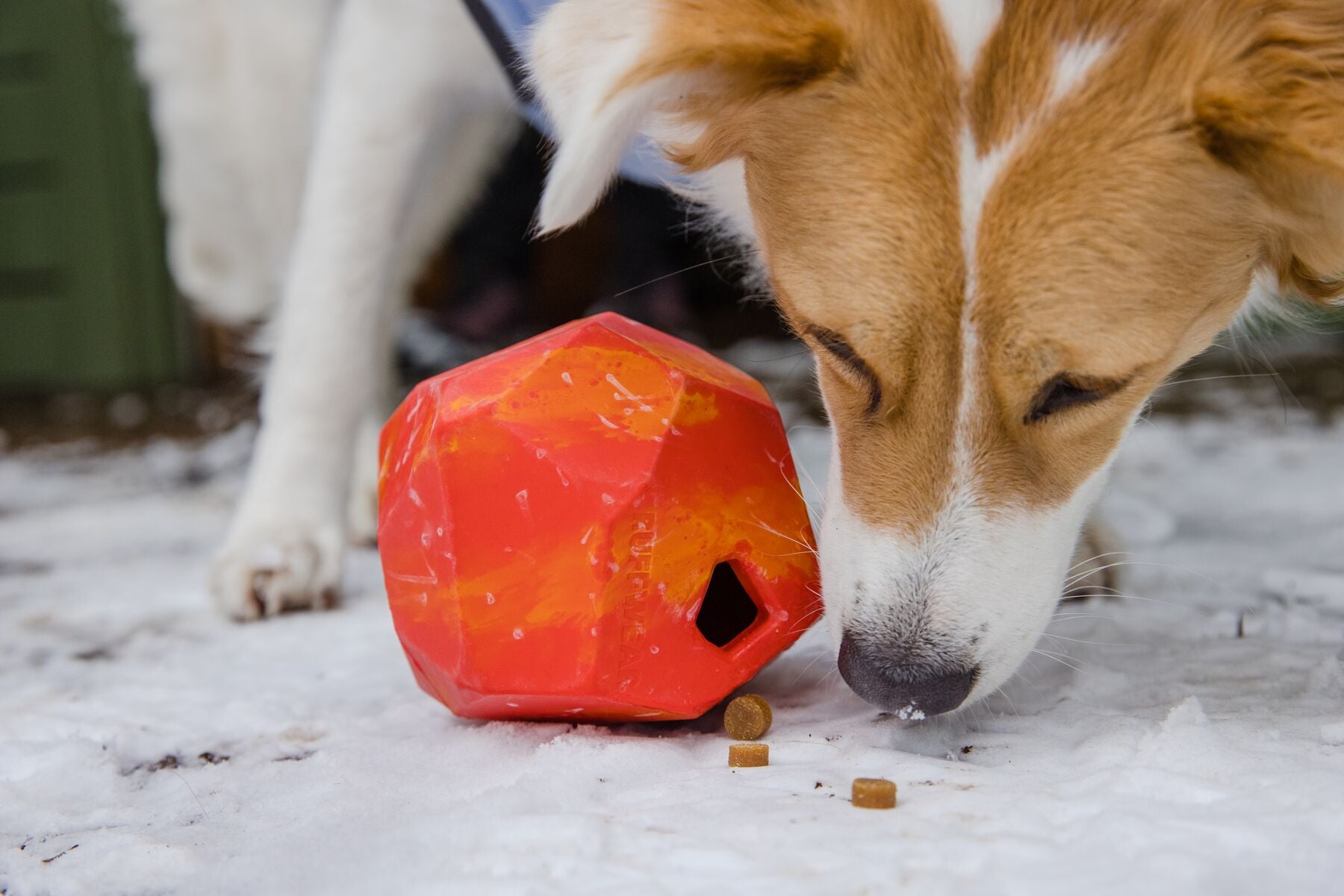 Ruffwear - Gnawt-a-Rock