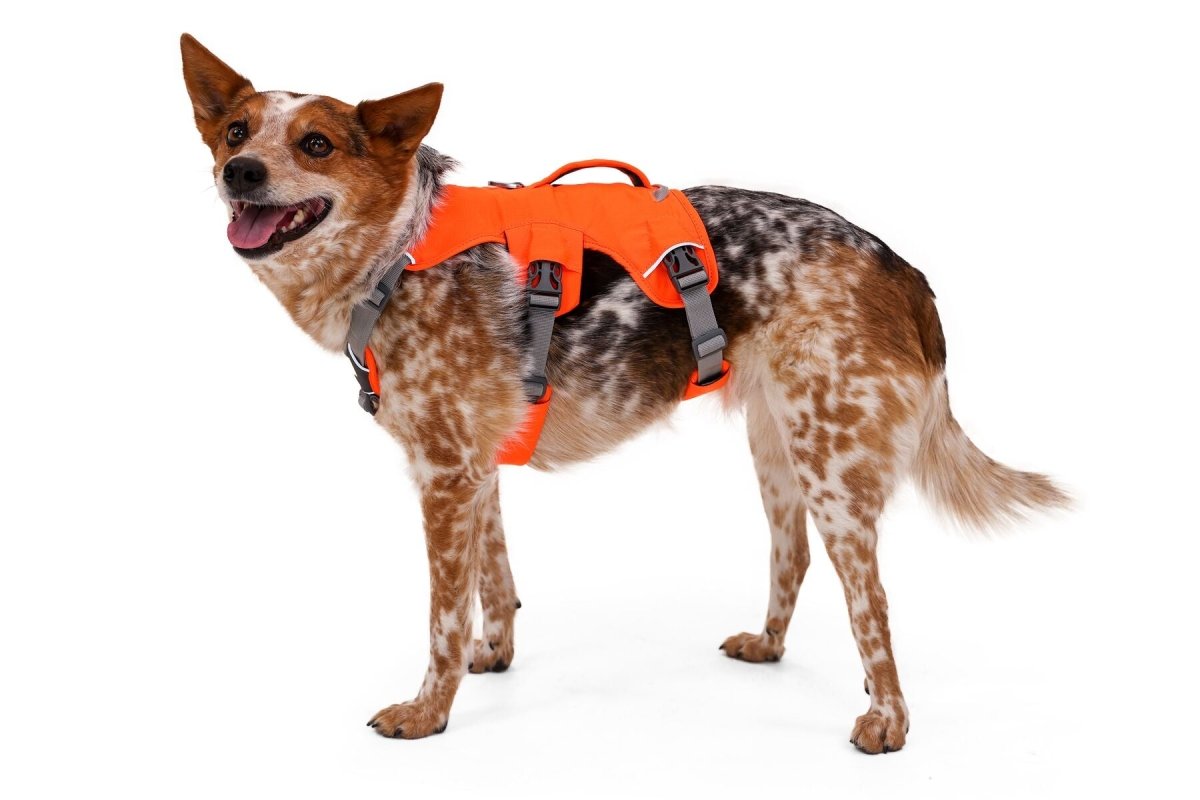 Ruffwear - Web Master Harness