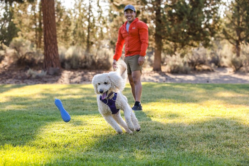 Ruffwear - Gourdo Toy