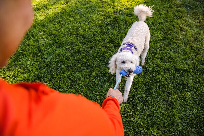 Ruffwear - Gourdo Toy