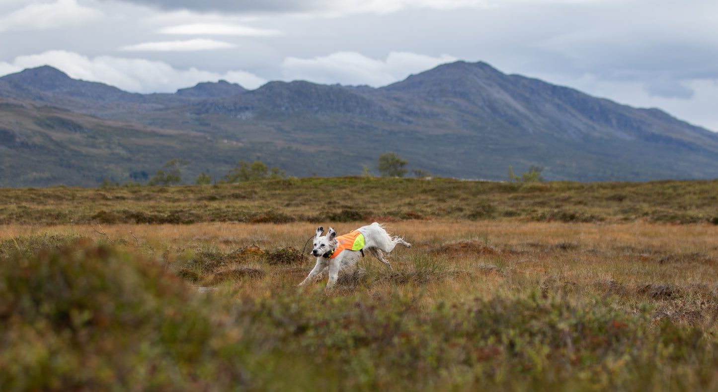 Non-stop Dogwear - Protector Cover