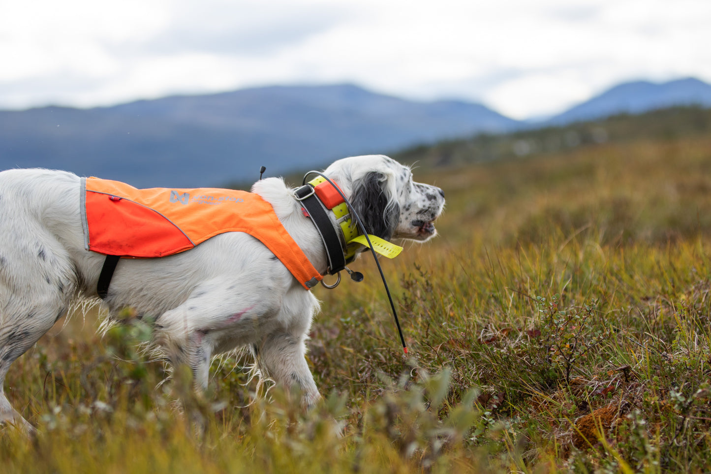 Non-stop Dogwear - Protector Cover