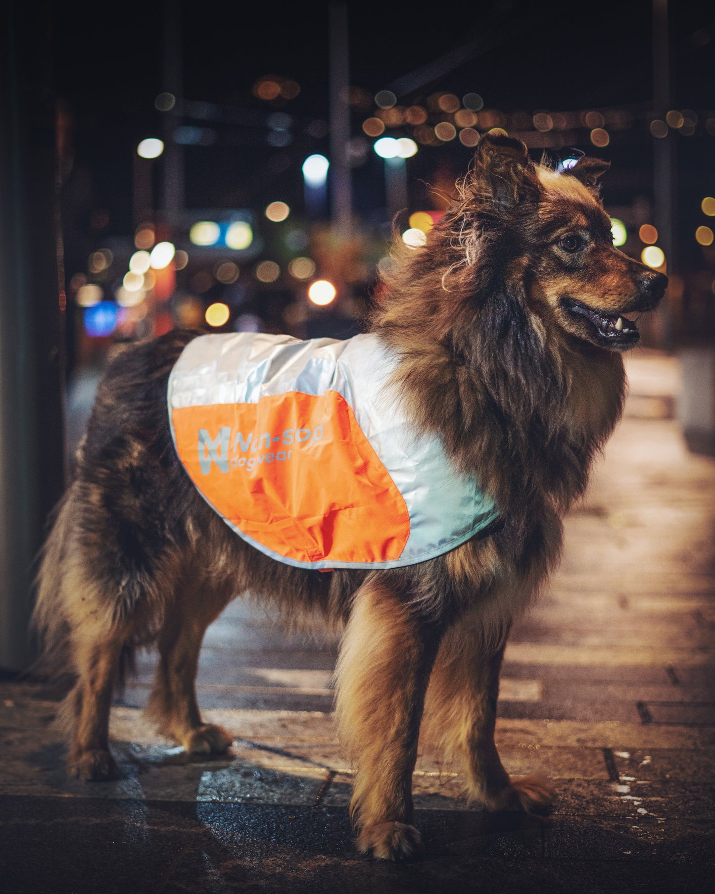 Non-stop Dogwear - Reflection Blanket