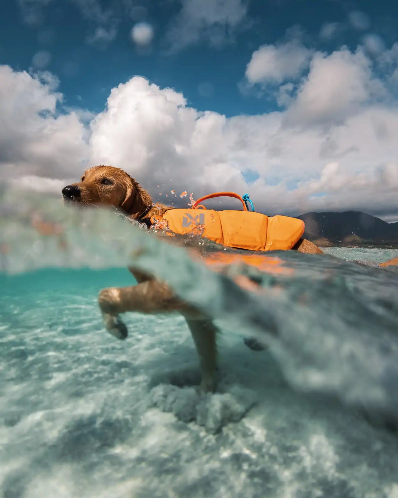 Non-stop Dogwear - Protector Life Jacket