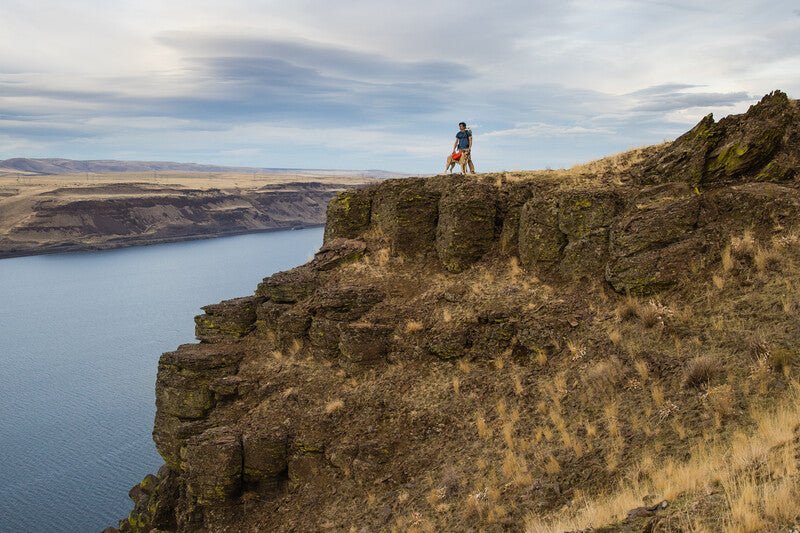 Ruffwear - Palisades Pack