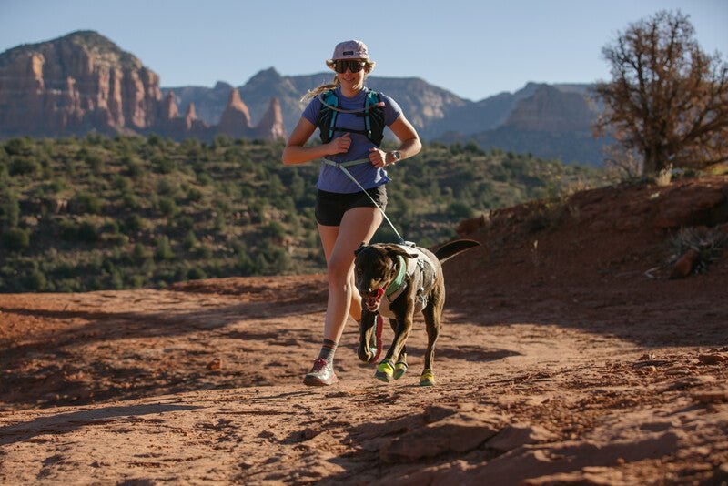 Owner and dog running using a Flagline Leash.