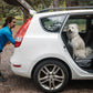 Dog waits patiently in car, as their owner packs gear into the boot.