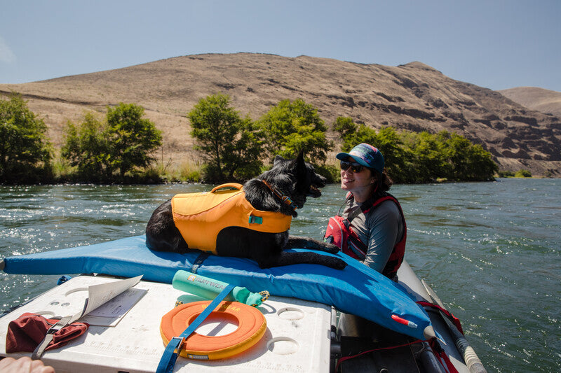 Dog wearing the Float Coat lifejacket, resting on a boat.