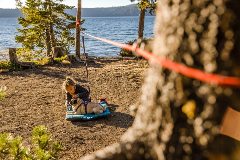 Ruffwear - Knot-a-Hitch Dog Hitching System