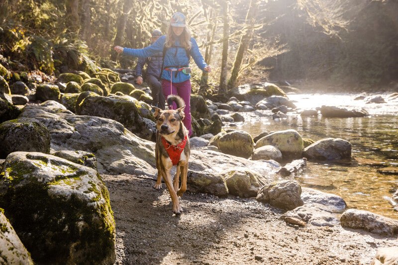 Ruffwear - Hitch Hiker Leash