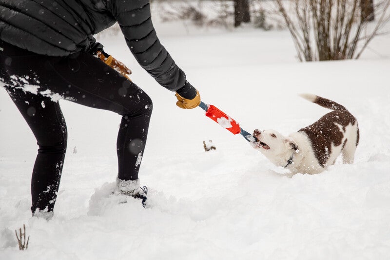 Ruffwear - Pacific Loop