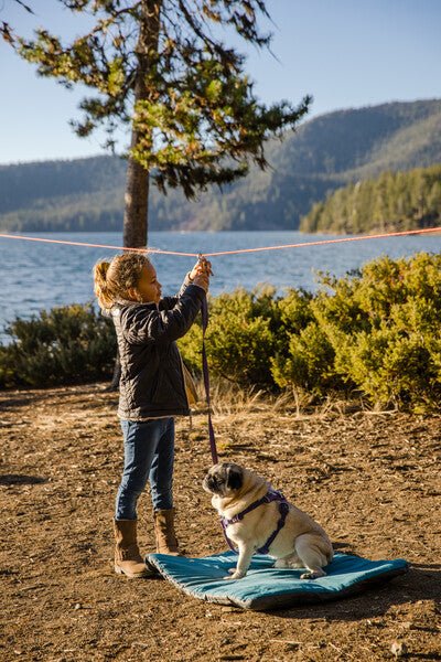 Ruffwear - Knot-a-Hitch Dog Hitching System