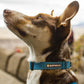 Ruffwear - Hi & Light Collar