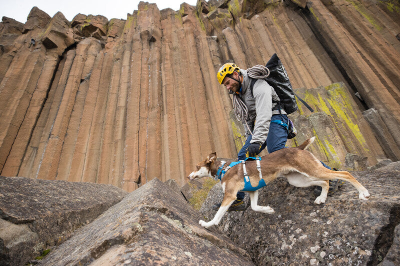 Dog and their owner traversing some rough terrain. The hiker holds onto the dog's harness handle for stability.