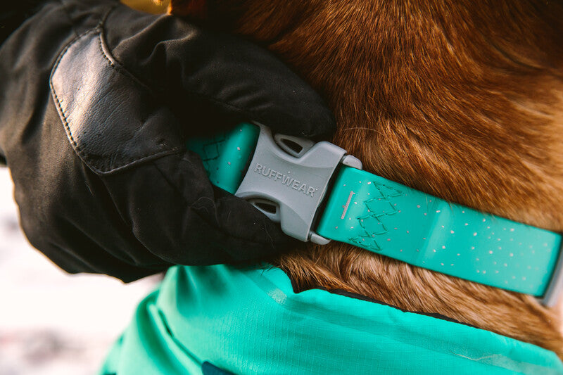 Buckle of the Confluence Collar.