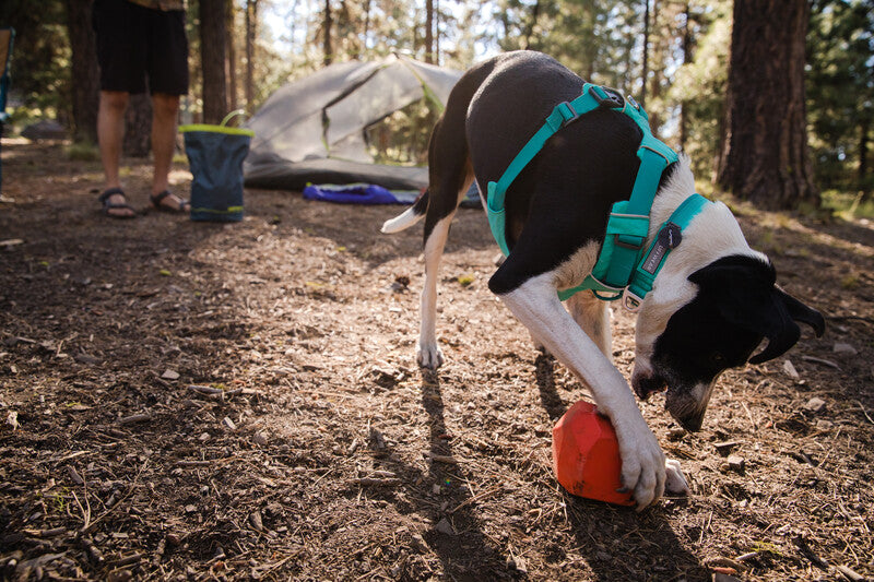 Ruffwear - Gnawt-a-Rock