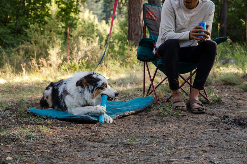 Ruffwear - Gnawt-a-Stick