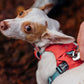 Ruffwear - Hi & Light Harness