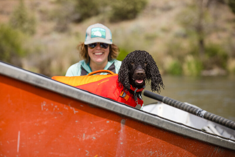 Very wet dog on board a ship, wearing a lifejacket and the Confluence Collar. Their owner can be seen behind them.