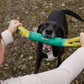 Ruffwear - Pacific Loop