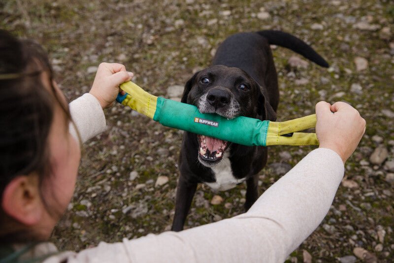 Ruffwear - Pacific Loop