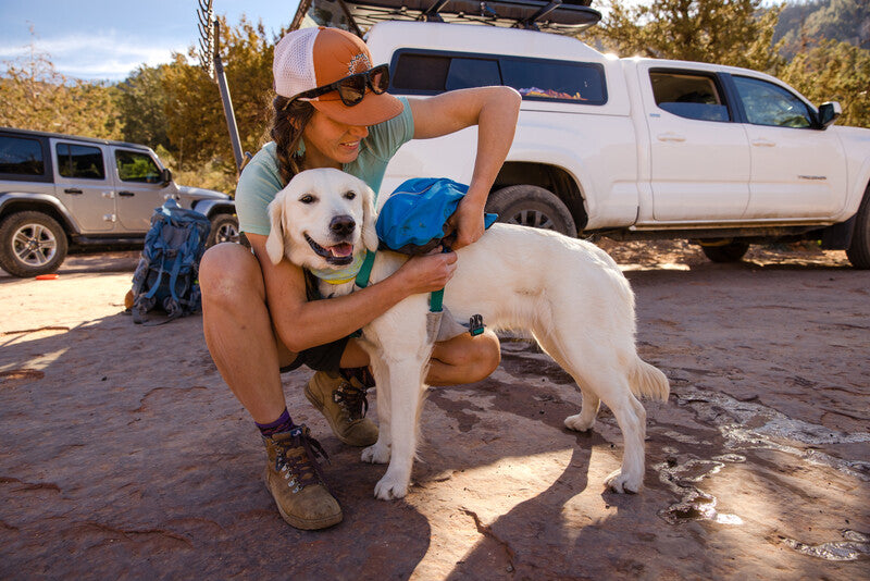 A dog owner adjusting the Ruffwear Approach Pack on their white dog. They are crouched in front of a vehicle.